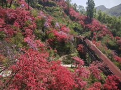 -岳西天峡风景区
