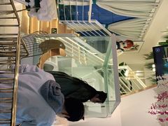 -喵喵咪呀布偶猫咖(春熙路店)