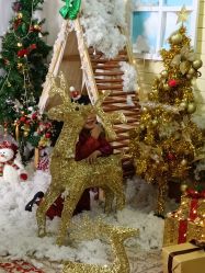 -莫奈庄园·儿童摄影馆·影视基地(江宁店)