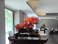 -顺峰(农展馆店)