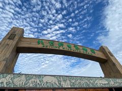 -北京野生动物园