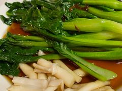 -新白鹿餐厅(百联中环店)