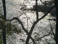 -燕儿岛山公园