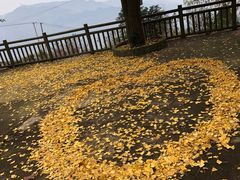 -金堂县云顶石城风景区