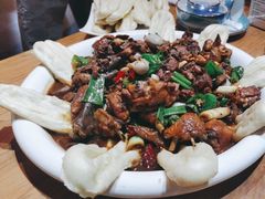 -向民炒鸡老店(金泰华府店)
