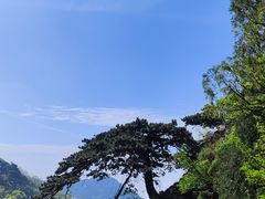 -泰山风景名胜区