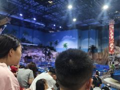 -华夏文旅海洋公园