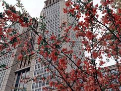 -复旦大学光华楼