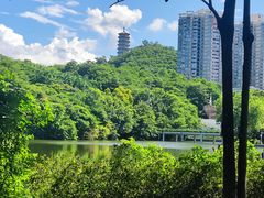 -深圳国际园林花卉博览园