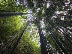 -竹泉村旅游度假区
