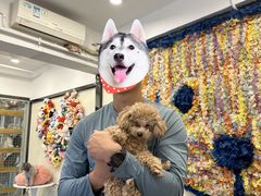 -有喵·猫咖·狗咖·30几只猫10只小狗(岗厦店)