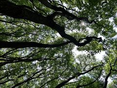 -同里国家湿地公园