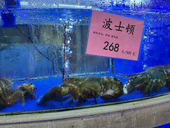 -骏丰酒楼(黄编店)