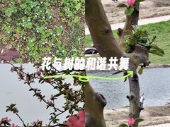 -洨河生态公园
