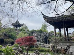 -芥子园