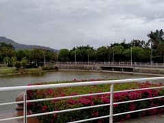 -厦门国家会计学院