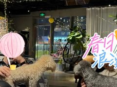 -百好乐宠物友好餐厅(朝外大街店)