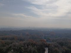 -灵谷景区