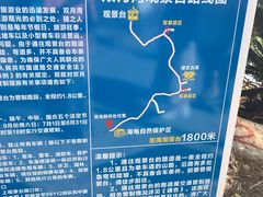 -广东惠东海龟国家级自然保护区