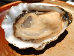 美国谢尔顿处女蚝-Osteria Garden 生蚝花园餐厅(原进贤路店)
