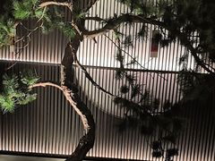 -大拙里·精致融合菜(沙湖桃源国际店)