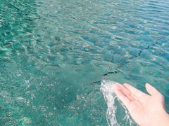 -贝林大翅鲸简餐厅(国家海洋博物馆店)