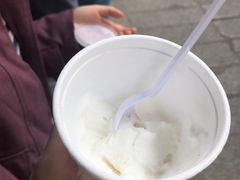 -洪馨椰子