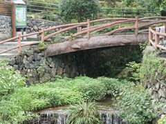 -藏龙百瀑风景区