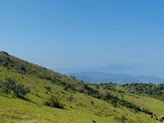 -大姆山草场