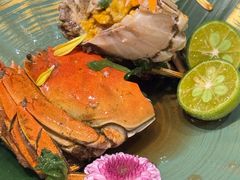 -鸟鹏烧鸟居酒屋(龙岗万科店)