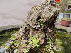 -海窝子古镇