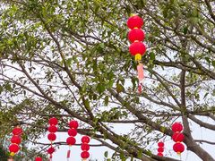 -梧桐山风景名胜区