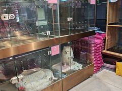 -FAELING PETS美天灵宠物(富力广场店)