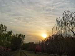 -永定河休闲森林公园