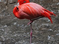 -沈阳森林动物园