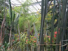 -呀路古热带植物园
