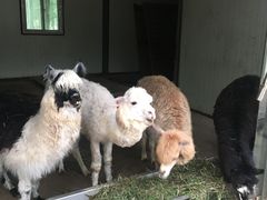 -六鳌翡翠湾滨海度假景区