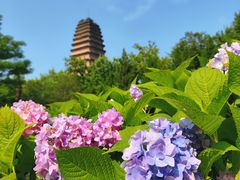 -西安博物院