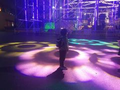 -锦江乐园舞狸花花游园会(夜场专享)