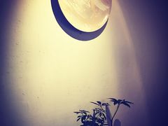 -花迹(富春江东街店)
