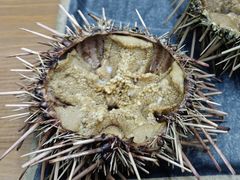 -海胆小馆(东北水饺·春柳店)