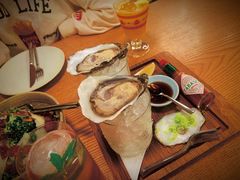 N1大号生蚝-EN SPACE恩空间