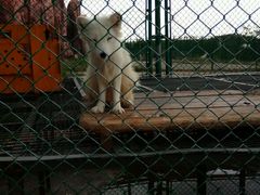 -鄂尔多斯野生动物园