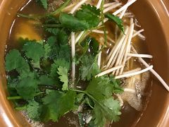 -大中鱼翅 Taitong Shark Fin