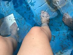 -固安来康郡来康温泉