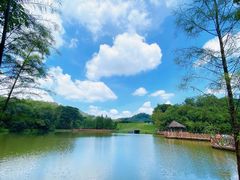 -番禺大夫山森林公园