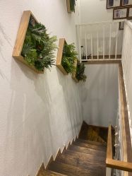 点击看大图 -薇薇安花系SPA