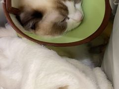 -美联众合24小时·皮肤科·外科·全科诊疗中心(华苑分院)