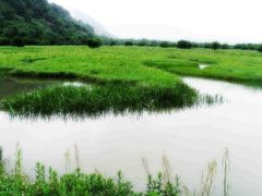 iphone_upload_pic-梁鸿国家湿地公园