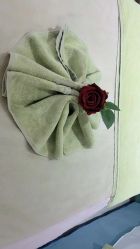 -梵茜儿·头道汤养生馆